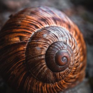 pexels-michael-4727828-min